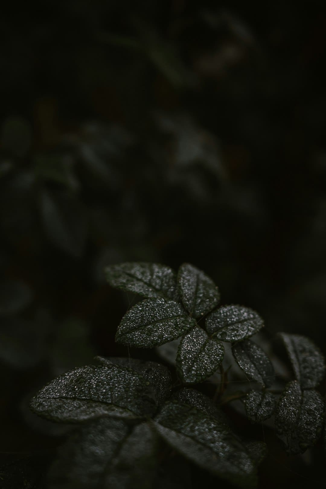 瞬移金沙江！立刻敞开一场山水之旅